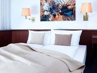 Ibis Styles Hotel 3*